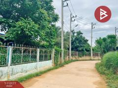 ขายที่ดิน เนื้อที่ 3 งาน 32.4 ตร.วา บ้านไร่ อุทัยธานี-202506191047561750304876786.jpg