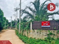 ขายที่ดิน เนื้อที่ 3 งาน 32.4 ตร.วา บ้านไร่ อุทัยธานี-202506191047571750304877897.jpg