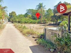 ขายที่ดิน เนื้อที่ 2 งาน 2 ตร.วา เชียงยืน อุดรธานี-202506191051071750305067174.jpg