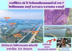 ขายที่สีม่วง 46 ไร่ ใกล้ถนนเลียบมอเตอร์เวย์ สาย 7 ใกล้นิคมอมตะ ชลบุรี  ต.บางนาง อ.พานทอง จ.ชลบุรี