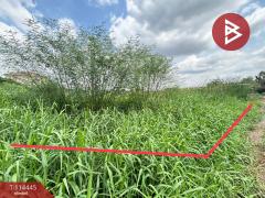 ขายที่ดิน เนื้อที่ 96 ตร.วา ประเวศ กรุงเทพมหานคร-202506191435211750318521041.jpg