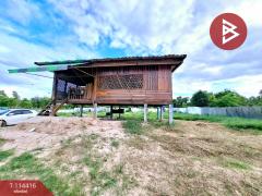 ขายบ้านเดี่ยวพร้อมที่ดิน เนื้อที่ 1 ไร่ รอบเมือง ร้อยเอ็ด-202506191502391750320159071.jpg