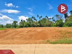 ขายที่ดิน-เนื้อที่-3-งาน-56-ตร.วา-คลองนา