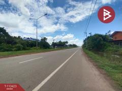 ขายที่ดิน เนื้อที่ 3 ไร่ 42 ตร.วา นาหว้า นครพนม-202506191735481750329348813.jpg