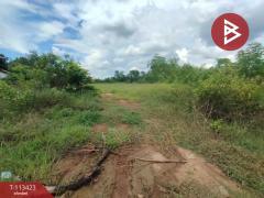 ขายที่ดิน เนื้อที่ 3 ไร่ 42 ตร.วา นาหว้า นครพนม-202506191735511750329351113.jpg