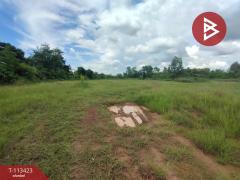 ขายที่ดิน เนื้อที่ 3 ไร่ 42 ตร.วา นาหว้า นครพนม-202506191735521750329352352.jpg