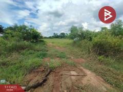 ขายที่ดิน เนื้อที่ 3 ไร่ 42 ตร.วา นาหว้า นครพนม-202506191735541750329354212.jpg