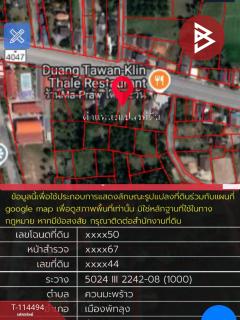 ขายที่ดินเปล่า 193.5 ตารางวา ติดถนนอภัยบริรักษ์ พัทลุง-202506201114581750392898493.jpg