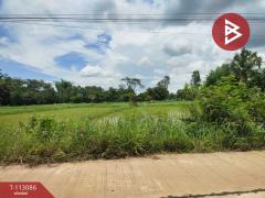 ขายที่ดิน เนื้อที่ 4 ไร่ กลางเมืองนาหว้า นครพนม ทำเลดี-202506201122281750393348241.jpg