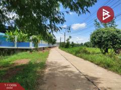 ขายที่ดิน เนื้อที่ 4 ไร่ กลางเมืองนาหว้า นครพนม ทำเลดี-202506201122281750393348800.jpg