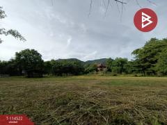 ขายที่ดิน เนื้อที่ 1 งาน หนองรี ชลบุรี-202506201140561750394456665.jpg