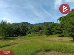ขายที่ดิน เนื้อที่ 1 งาน หนองรี ชลบุรี-202506201140581750394458370.jpg