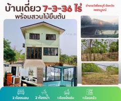 ขายบ้านสวน 7-3-36 ไร่ พร้อมไม้ยืนต้น อำเภอวิเชียรบุรี จังหวัดเพชรบูรณ์