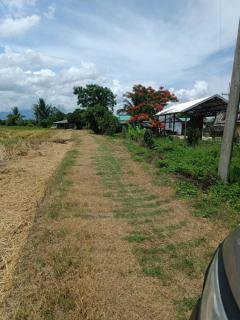 ขายที่ดิน 14 ไร่ 37 ตร.ว. ติดถนน โฉนดครุฑแดง พร้อมโอน ใกล้สถานที่ท่องเที่ยว  อำเภอเวียงป่าเป้า จังหวัดเชียงราย-202506201317571750400277302.jpg