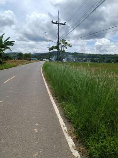 ขายที่ดิน 14 ไร่ 37 ตร.ว. ติดถนน โฉนดครุฑแดง พร้อมโอน ใกล้สถานที่ท่องเที่ยว  อำเภอเวียงป่าเป้า จังหวัดเชียงราย-202506201317591750400279543.jpg