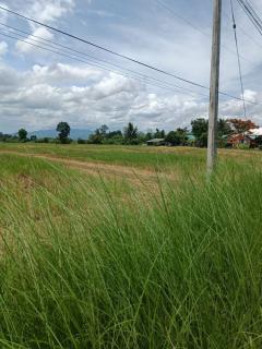 ขายที่ดิน 14 ไร่ 37 ตร.ว. ติดถนน โฉนดครุฑแดง พร้อมโอน ใกล้สถานที่ท่องเที่ยว  อำเภอเวียงป่าเป้า จังหวัดเชียงราย-202506201318001750400280093.jpg