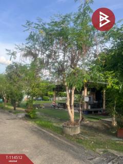 ขายบ้านเดี่ยว หมู่บ้านทองสถิตย์วิลล่า5 (Thong Sathit Villa5) กรุงเทพมหานคร-202506201358041750402684164.jpg