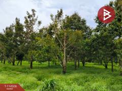 ขายที่ดิน เนื้อที่ 2 ไร่ ท่าช้าง จันทบุรี-202506201408331750403313160.jpg