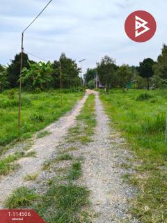 ขายที่ดิน เนื้อที่ 2 ไร่ ท่าช้าง จันทบุรี-202506201408331750403313954.jpg