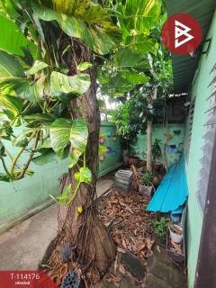 ขายทาวน์เฮ้าส์ หมู่บ้านศิริไพศาล ท่าทราย สมุทรสาคร-202506201457071750406227187.jpg