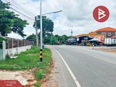 ขายบ้านเดี่ยว เนื้อที่ 1 ไร่ หนองหญ้าไซ สุพรรณบุรี-202506201524431750407883397.jpg