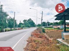 ขายบ้านเดี่ยว เนื้อที่ 1 ไร่ หนองหญ้าไซ สุพรรณบุรี-202506201524441750407884536.jpg