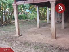  ขายที่ดินพร้อมสิ่งปลูกสร้าง เนื้อที่ 1 งาน 81 ตร.วา อินทร์บุรี สิงห์บุรี-202506201616181750410978876.jpg