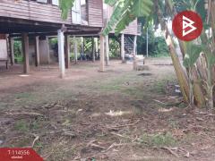  ขายที่ดินพร้อมสิ่งปลูกสร้าง เนื้อที่ 1 งาน 81 ตร.วา อินทร์บุรี สิงห์บุรี-202506201616241750410984190.jpg