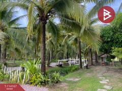 ขายที่ดินพร้อมกิจการ เนื้อที่ 11 ไร่ 62.5 ตร.วา พญาขัน พัทลุง-202506201731441750415504988.jpg