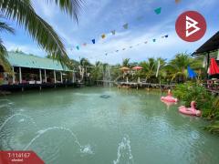 ขายที่ดินพร้อมกิจการ เนื้อที่ 11 ไร่ 62.5 ตร.วา พญาขัน พัทลุง-202506201731461750415506168.jpg