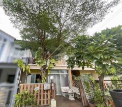 ทาวน์เฮ้าส์ 2 ชั้น หมู่บ้าน พฤกษาวิลล์ 10 เพชรเกษม - พุทธมณฑลสาย 4