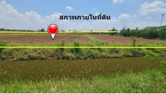 ขาย ที่ดิน ผืนใหญ่แปลงสวย ใกล้พืชสวนโลกโคราช ทำเลทองแห่งอนาคตไกล บ้านวัด ฝั่งตะวันออก 35 ไร่ 1 งาน 26 ตรว ในทำเลศักยภาพสูง ผังเมืองสีชมพู-202506211218231750483103814.jpg