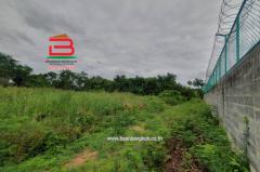 ที่ดินเปล่า คูบางหลวง-ลาดหลุมแก้ว เนื้อที่ 3-1-56 ไร่ ติดบจก.ชาญนครวิศวกรรม,ใกล้ปั้ม ปตท. ม.12 คูบางหลวง ถนนกาญจนาภิเษก ตำบลคูบางหลวง อำเภอลาดหลุมแก้ว จังหวัดปทุมธานี-202506211732261750501946147.jpg