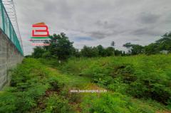 ที่ดินเปล่า คูบางหลวง-ลาดหลุมแก้ว เนื้อที่ 3-1-56 ไร่ ติดบจก.ชาญนครวิศวกรรม,ใกล้ปั้ม ปตท. ม.12 คูบางหลวง ถนนกาญจนาภิเษก ตำบลคูบางหลวง อำเภอลาดหลุมแก้ว จังหวัดปทุมธานี-202506211732261750501946703.jpg
