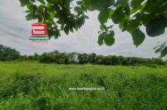 ที่ดินเปล่า คูบางหลวง-ลาดหลุมแก้ว เนื้อที่ 3-1-56 ไร่ ติดบจก.ชาญนครวิศวกรรม,ใกล้ปั้ม ปตท. ม.12 คูบางหลวง ถนนกาญจนาภิเษก ตำบลคูบางหลวง อำเภอลาดหลุมแก้ว จังหวัดปทุมธานี-202506211732281750501948270.jpg