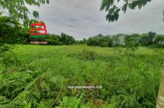 ที่ดินเปล่า คูบางหลวง-ลาดหลุมแก้ว เนื้อที่ 3-1-56 ไร่ ติดบจก.ชาญนครวิศวกรรม,ใกล้ปั้ม ปตท. ม.12 คูบางหลวง ถนนกาญจนาภิเษก ตำบลคูบางหลวง อำเภอลาดหลุมแก้ว จังหวัดปทุมธานี-202506211732281750501948800.jpg