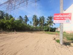 ขาย ที่ดิน ME318 ทำเลค้าขาย ติดถนนสี่เลนส์ ตลาดบ่อทอง ชลบุรี ขนาด 56 ตรว ถูกสุดในย่านนี้ ที่ถมแล้ว สูงกว่าถนน พร้อมสร้าง ซื้อไว้เก็งกำไร-202506211832381750505558875.jpg