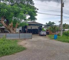 ขายที่ดินเนื้อที่ 39 ไร่ 3 งาน 47 ตร.ว. ติดถนนพหลโยธิน นครสวรรค์ – กำแพงเพชร เหมาะทำโรงงานหรือโกดังสินค้า-202506211837401750505860914.jpg