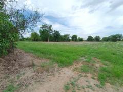 ขายที่ดินเนื้อที่ 39 ไร่ 3 งาน 47 ตร.ว. ติดถนนพหลโยธิน นครสวรรค์ – กำแพงเพชร เหมาะทำโรงงานหรือโกดังสินค้า-202506211837421750505862613.jpg