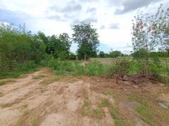 ขายที่ดินเนื้อที่ 39 ไร่ 3 งาน 47 ตร.ว. ติดถนนพหลโยธิน นครสวรรค์ – กำแพงเพชร เหมาะทำโรงงานหรือโกดังสินค้า-202506211837431750505863175.jpg