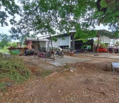 ขายที่ดินเนื้อที่ 39 ไร่ 3 งาน 47 ตร.ว. ติดถนนพหลโยธิน นครสวรรค์ – กำแพงเพชร เหมาะทำโรงงานหรือโกดังสินค้า-202506211837431750505863749.jpg