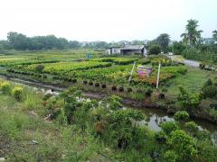 ขายที่ดินแปลงสวย ติดถนนบางม่วง - บางคูลัด เนื้อที่ 13-3-4 ไร่  อำเภอบางกรวย จังหวัดนนทบุรี เหมาะทำโครงการจัดสรร-202506220840331750556433005.jpg