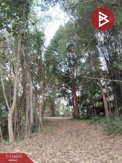 ขายที่ดิน เนื้อที่ 2 งาน 17.2 ตร.วา ท่าบ่อ หนองคาย-202506221112501750565570266.jpg