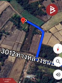ขายที่ดิน เนื้อที่ 2 งาน 17.2 ตร.วา ท่าบ่อ หนองคาย-202506221112531750565573749.jpg
