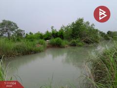 ขายที่ดิน เนื้อที่ 18 ไร่ 50 ตร.วา แก่งคอย สระบุรี-202506221309321750572572254.jpg