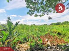 ขายที่ดิน-เนื้อที่-1-งาน-30-ตร.วา-ภาษีเจ