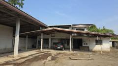ขายที่ดินและบ้าน  อำเภอเมืองชัยนาท จังหวัดชัยนาท-202506221626381750584398307.jpg