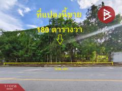 ขายที่ดิน-เนื้อที่-1-งาน-80.7-ตร.วา-พลับพ