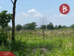 ขายที่ดิน เนื้อที่ 4 ไร่ 3 งาน 84 ตร.วา พนมสารคาม ฉะเชิงเทรา-202506221728521750588132606.jpg