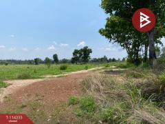 ขายที่ดิน เนื้อที่ 4 ไร่ 3 งาน 84 ตร.วา พนมสารคาม ฉะเชิงเทรา-202506221728551750588135039.jpg
